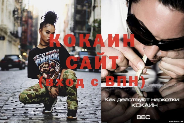 гидра Алексин