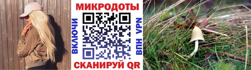 Псилоцибиновые грибы мухоморы  Павловский Посад 